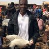 Hühnermarkt in Burkina Faso