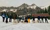 internezzo-Teamausflug 2020: Mit Schneeschuhen und Huskies unterwegs