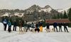 internezzo-Teamausflug 2020: Mit Schneeschuhen und Huskies unterwegs internezzo-Teamausflug 2020: Mit Schneeschuhen und Huskies unterwegs